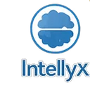 Intellyx